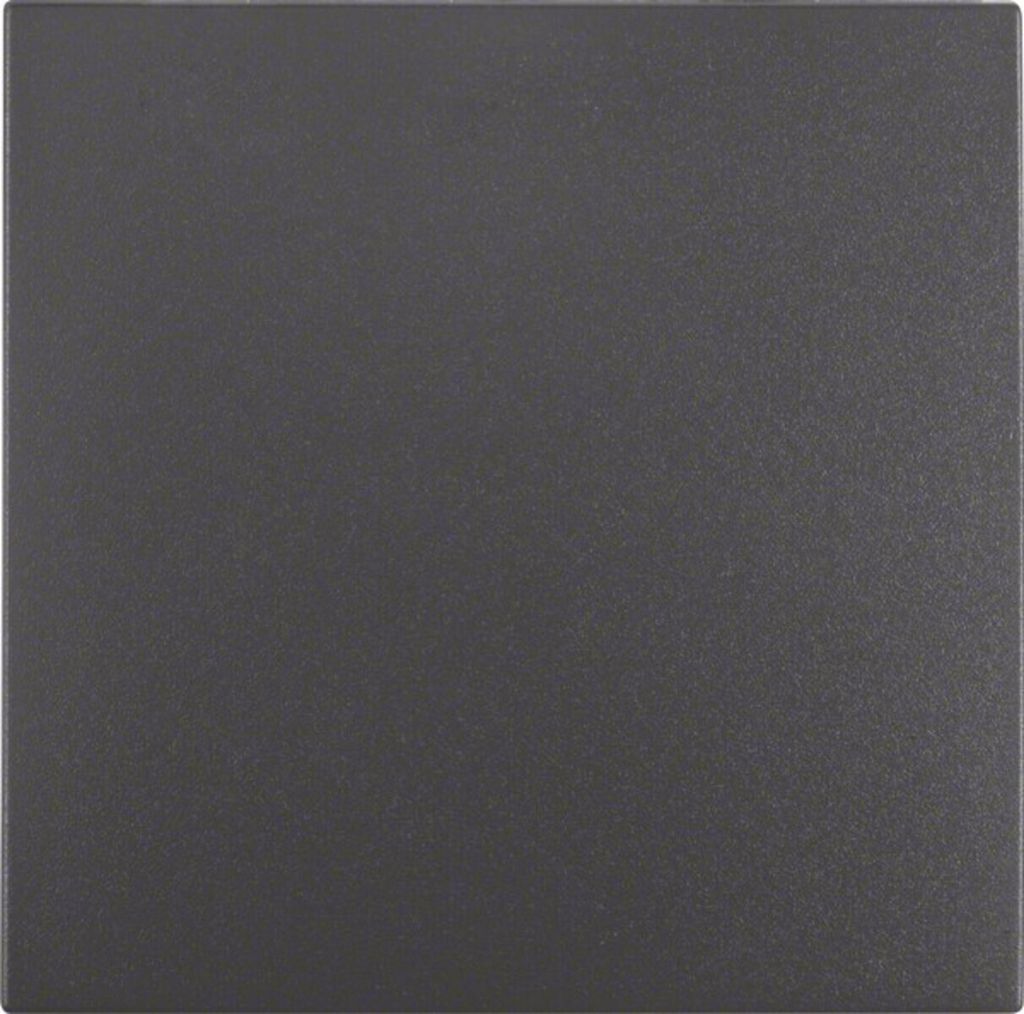 Schlüssel für 1-Tasten-Schalter, anthrazit matt, B.Kwadrat/B.3/B.7