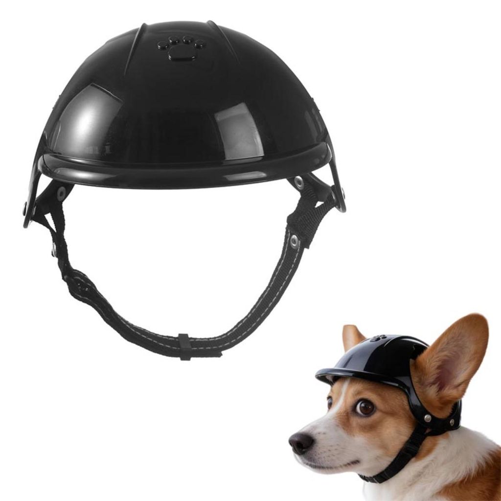 INF Haustier-Schutzhelm PC-Schale Polyesterfutter verstellbar für Alltag Schwarz L