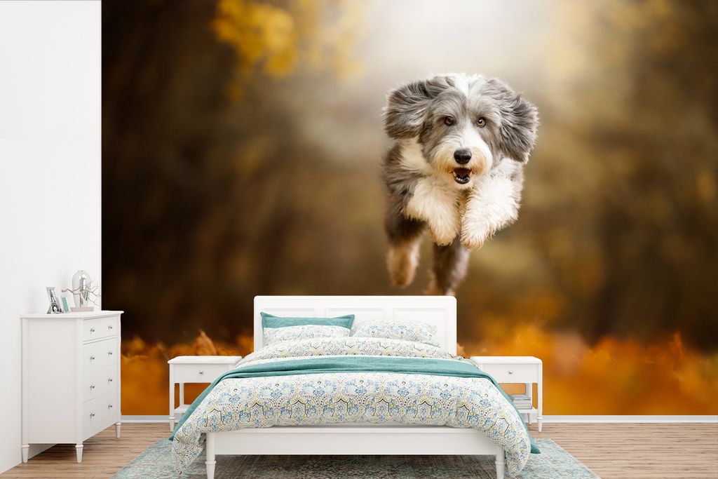 MuchoWow Fototapete für Wohnzimmer oder Schlafzimmer Wandtapete Vinyl Motivtapete Hund - Laub - Herbst - 420x280 cm - Zimmer für Kinder