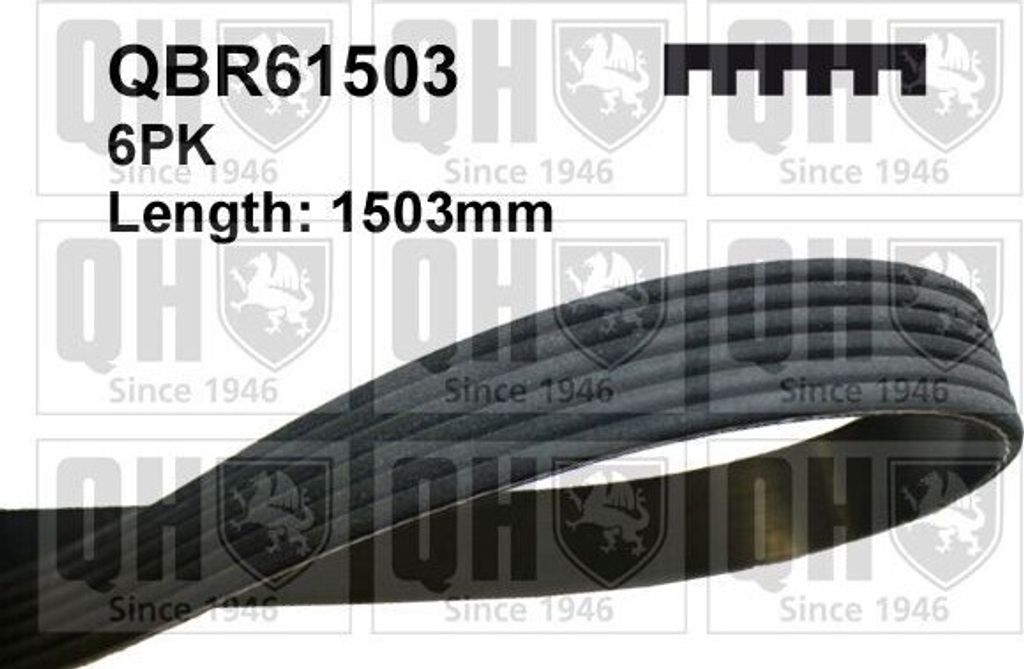 QUINTON HAZELL Keilrippenriemen 1503mm für FORD Fiesta Mk6 Schrägheck (JA8, JR8) QBR61503