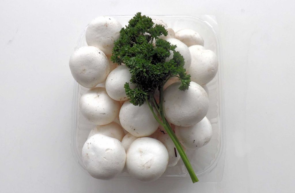 hansepuzzle 40374 - Champignons Puzzle, 500 Teile, Ernährung, 46,0 x 30,0cm mit hochwertiger Aufbewahrung, Kartonbox & Beutel