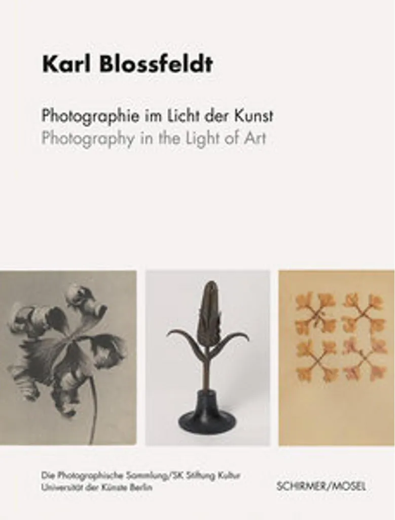 Photographie in the Light of Art : Édition Bilingue Luxe et Design