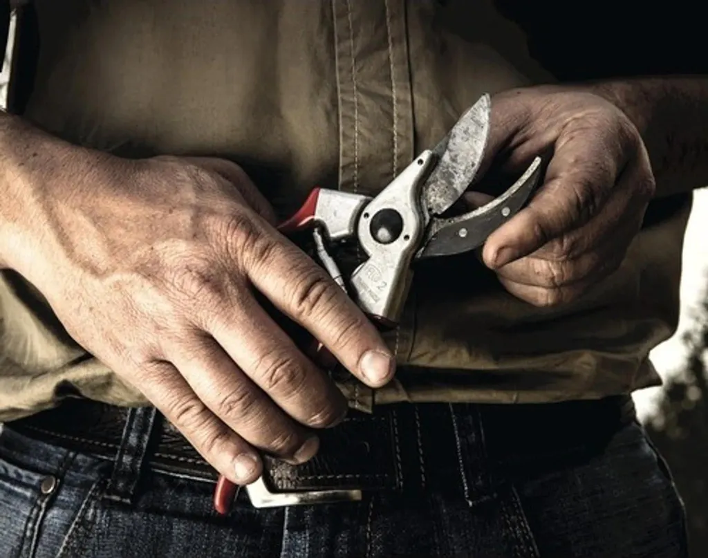 Sécateur Felco 2 Classique en Aluminium Forgé pour Taille de Précision - 6