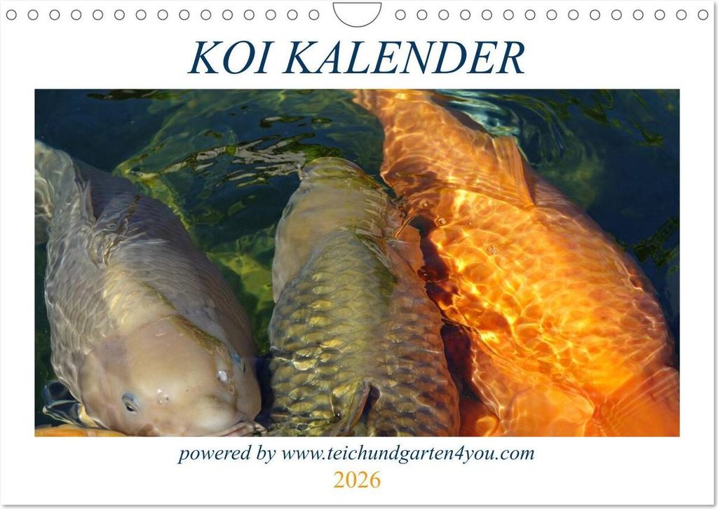 Koikichi Kalender 2026 (Wandkalender 2026 DIN A4 quer), CALVENDO Monatskalender