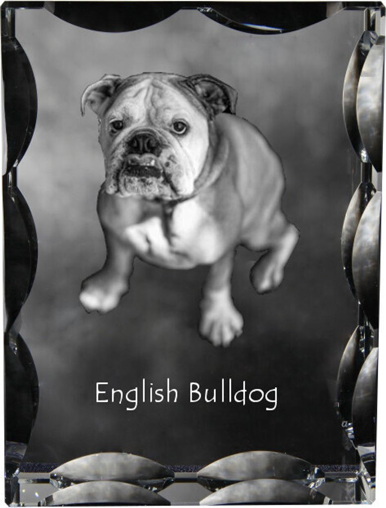Bulldog, Englische Bulldogge - Kristall mit einem Hundebild, Glasstatuette mit einem Bild, einzigartiger Bilderrahmen der Marke Art-Dog