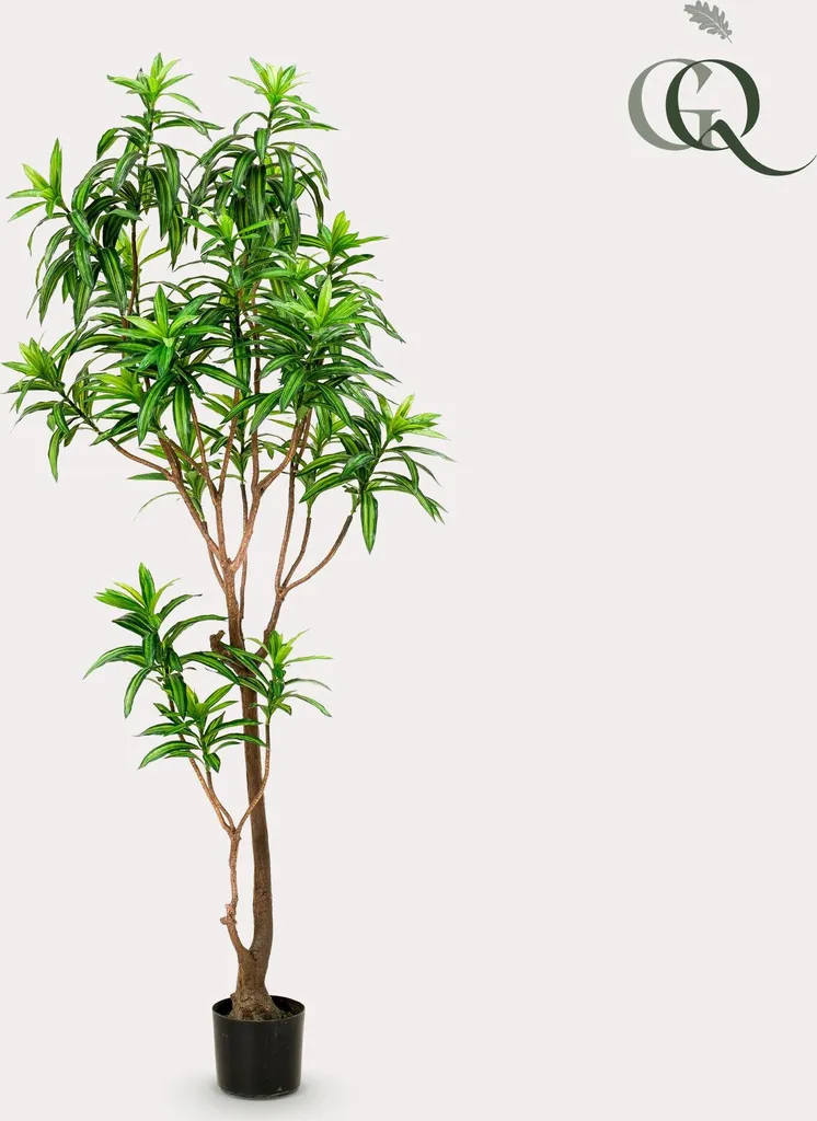 Dracaena artificiel Dragonnier : la solution déco sans arrosage ni lumière