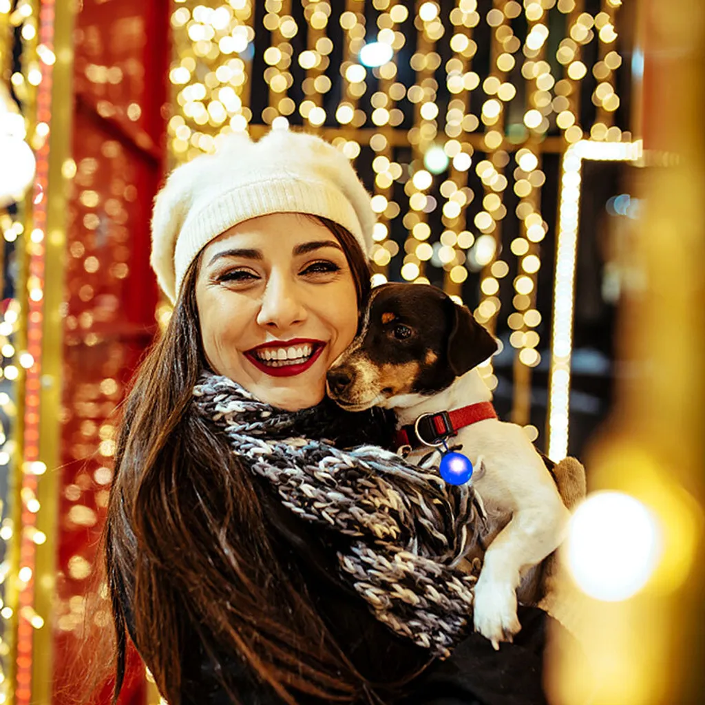Inseguitore ha condotto la luce per la luce del pendente del collare del cane dell'imbracatura - 5