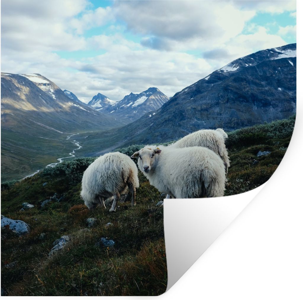 MuchoWow Wandtattoo Wandsticker Wandaufkleber Schafe - Natur - Berge 50x50 cm Selbstklebend und Repositionierbar - Selbstklebend - Fototapeten