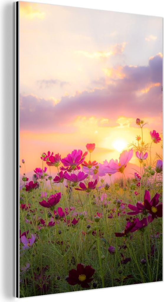 MuchoWow Wanddekoration Metall Metallbild Wandkunst 40x60 cm Blumen - Rosa - Sonnenuntergang - Natur - Wiese - Horizont MuchoWow Aluminium Gemälde...