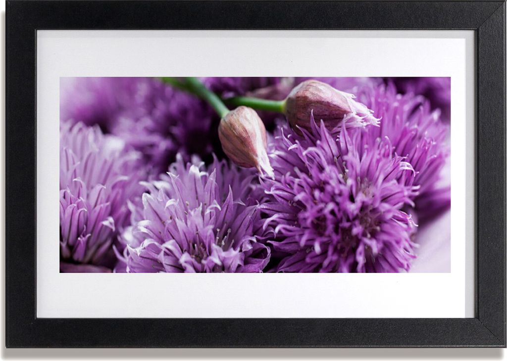 Bild 30x20 MDF-Rahmen Wandkunst Blumen Pflanzen