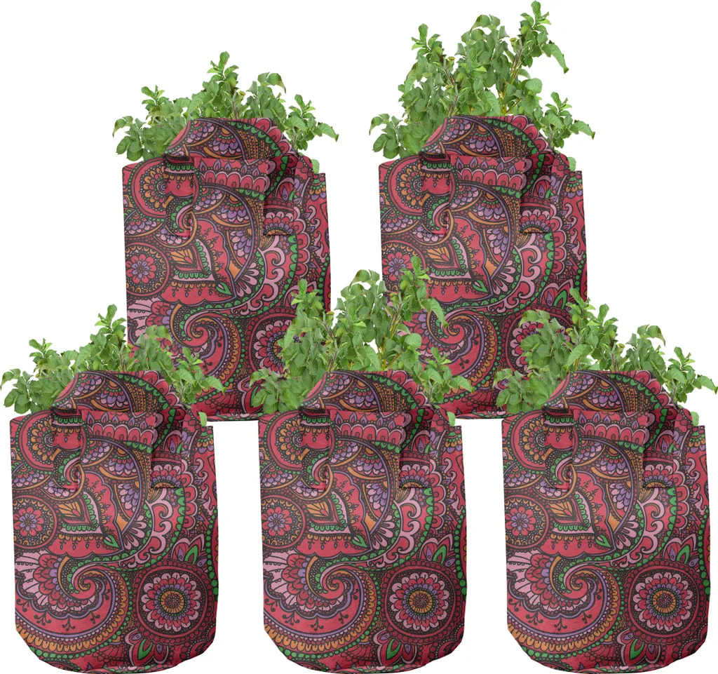 Évitez le Pourrissement des Racines avec nos Pots en Tissu 7 Gallons