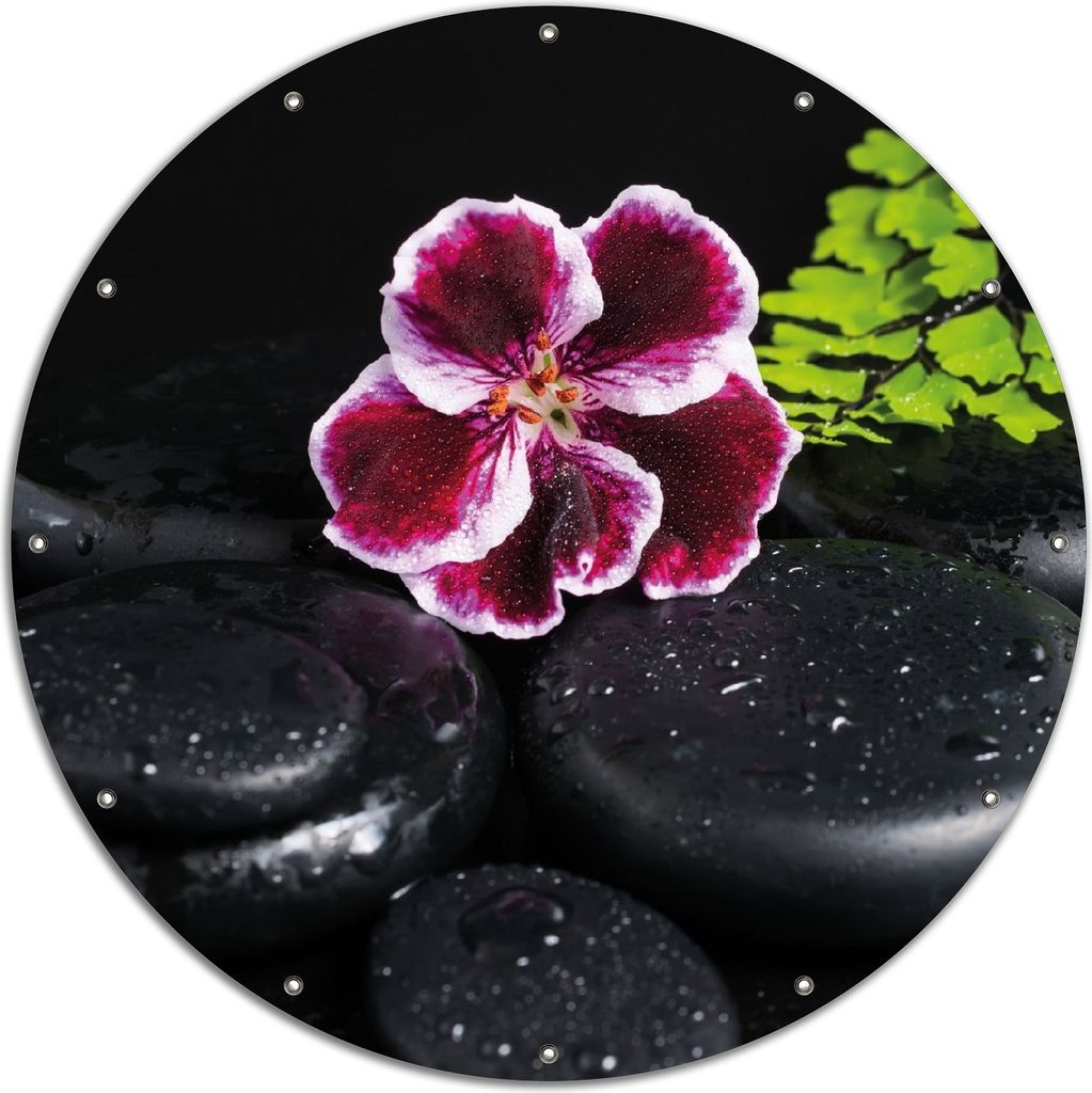 Wallario rundes Outdoor-Poster für Garten oder Balkon, Motiv Geranienblüte auf schwarzen Steinen, benetzt mit Wassertropfen, 120 cm Durchmesser