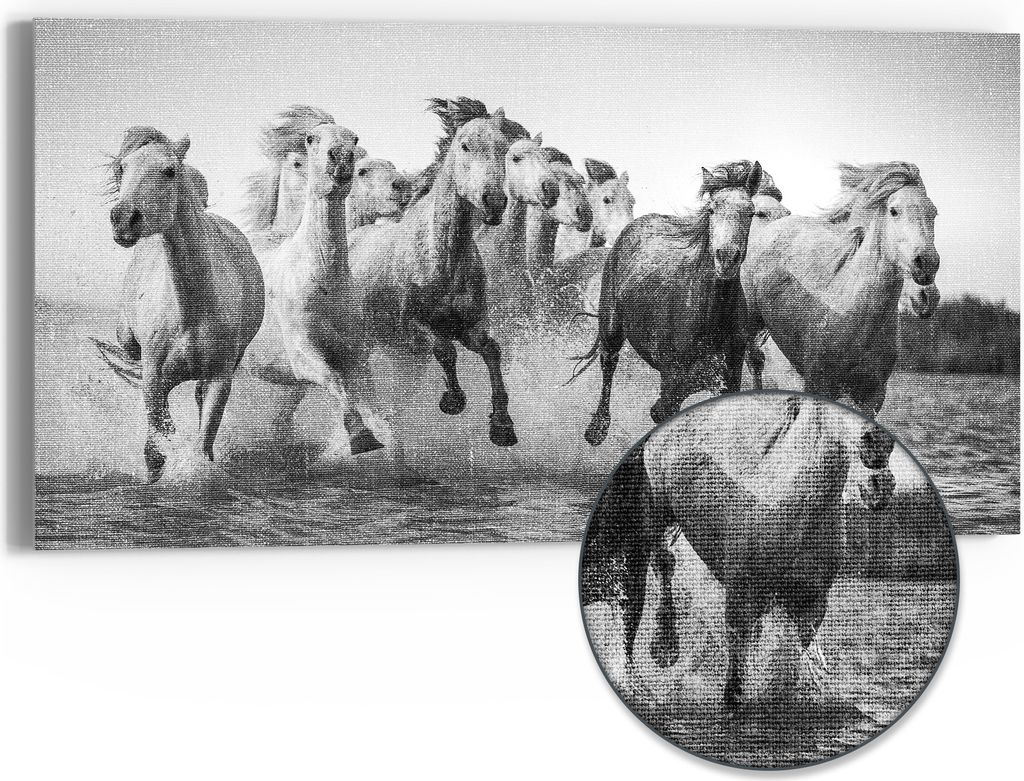 DEQORI Hybrid Leinwand Bild 60x30 cm 'Freiheit im Galopp' Wandbild Glas flach modern