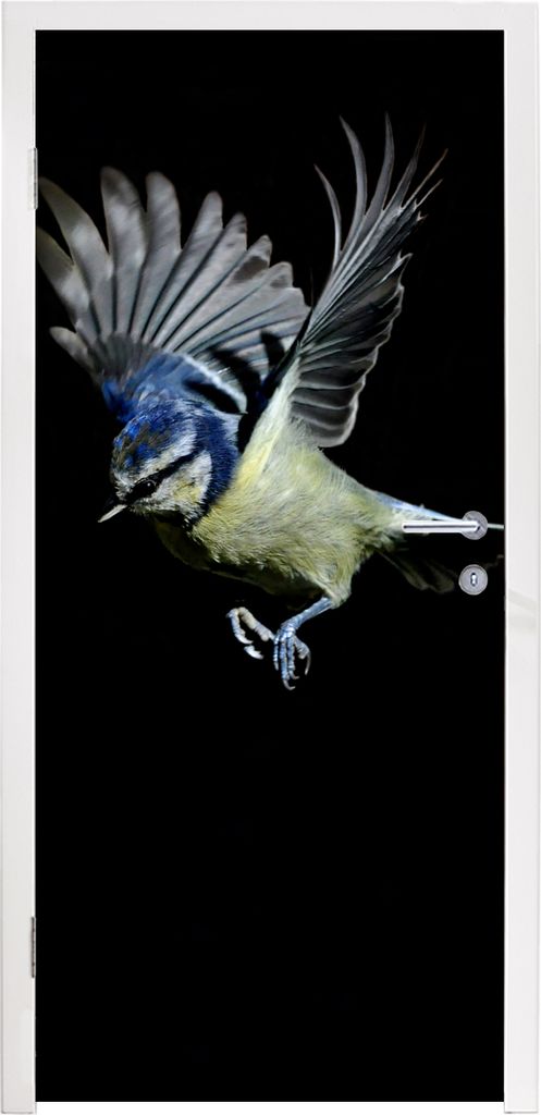 MuchoWow Türtapete Selbstklebende Türfolie Vogel - Federn - Porträt 90x235 cm Türposter Türaufkleber Klebefolie Türklebefolie - XXL-Plakate...