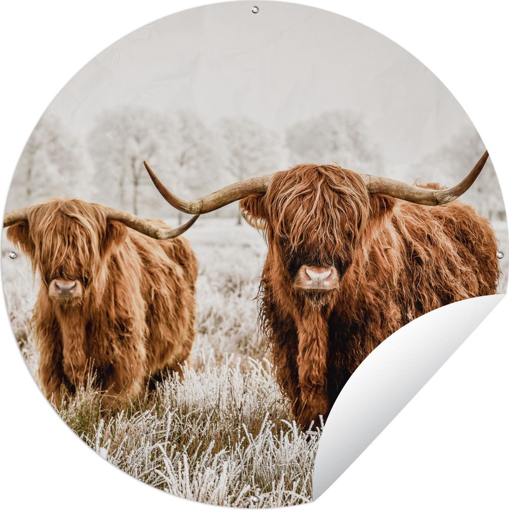 MuchoWow Gartenposter Outdoor-Poster Rund Schottischer Highlander - Kuh - Tiere Ø 120 cm Gartendeko Rundes Poster draußen
