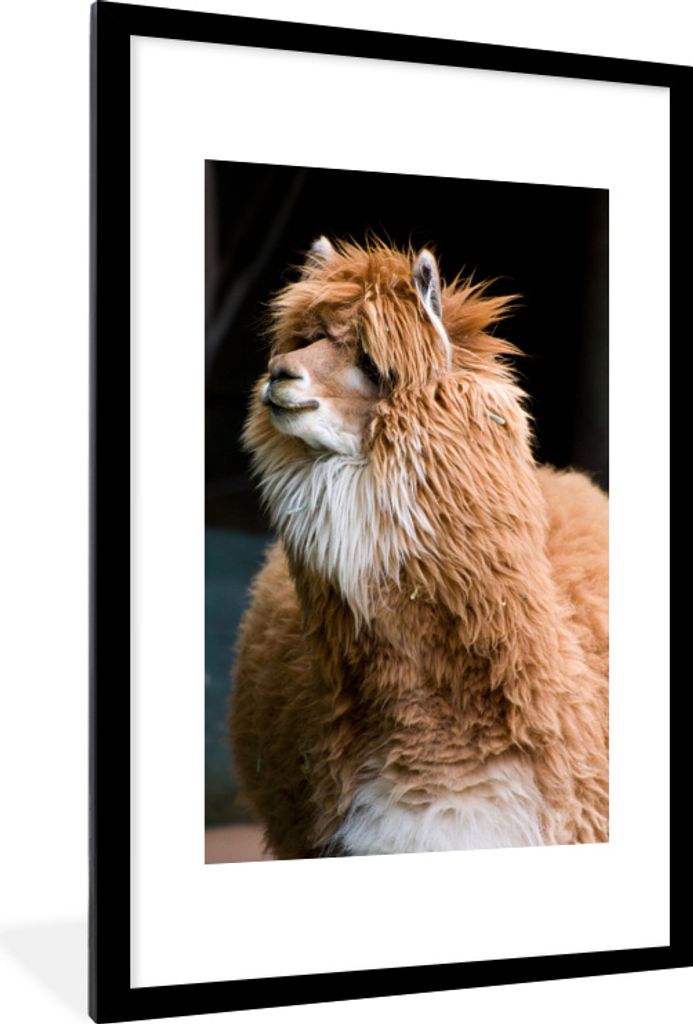 MuchoWow MuchoWow Gerahmtes Poster Alpaka - Fell - Braun 60x90 cm - Poster mit zchwarzem Bilderrahmen - Dekoration - Wandposter Wohnzimmer - Ho...
