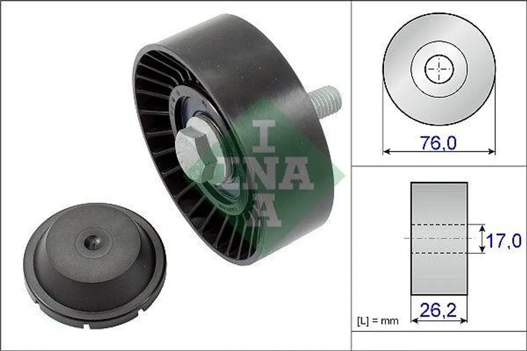 Rullo Rinvio INA 532063210 OE 03F 145 276 | Compatibile VW, Seat, Skoda