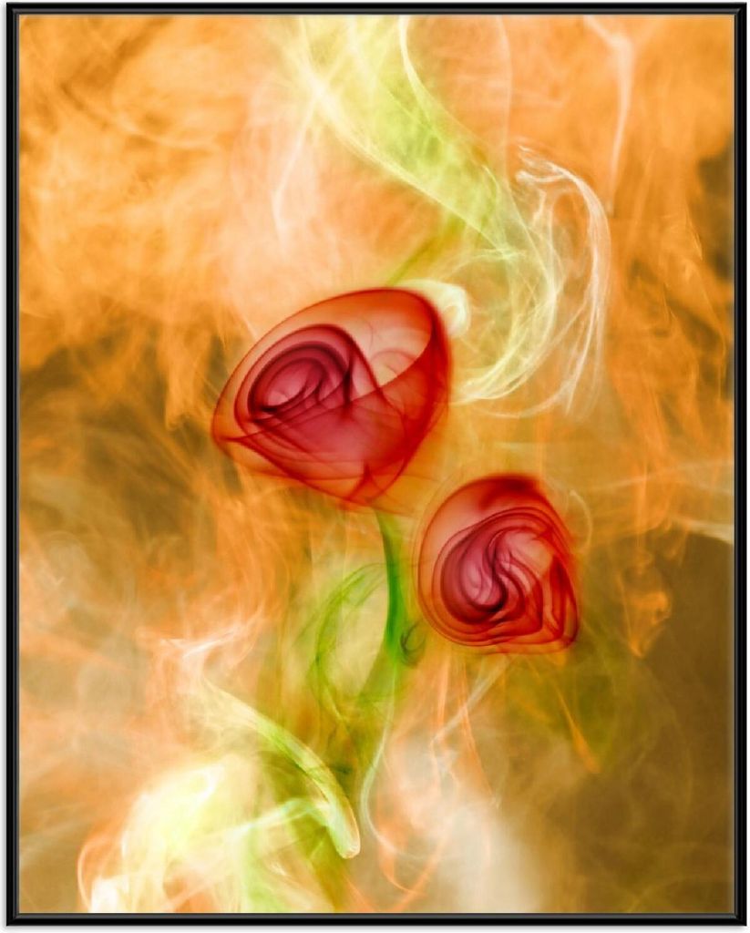 Wallario Wandbild Abstrakte Rosen, Größe: 40,30 x 50,30 cm, Poster mit schwarzem Aluminiumrahmen