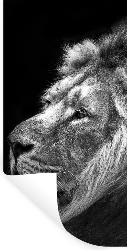MuchoWow Wandtattoo Wandsticker Wandaufkleber Löwe vor schwarzem Hintergrund in schwarz und weiß 40x80 cm Selbstklebend und Repositionierbar - ...