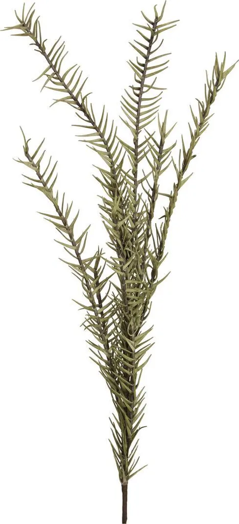Branche de Romarin Artificiel Europalms 82531064 en EVA Vert 50cm