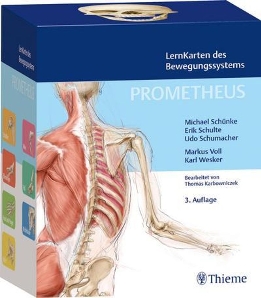 PROMETHEUS LernKarten des Bewegungssystems Produktbild 