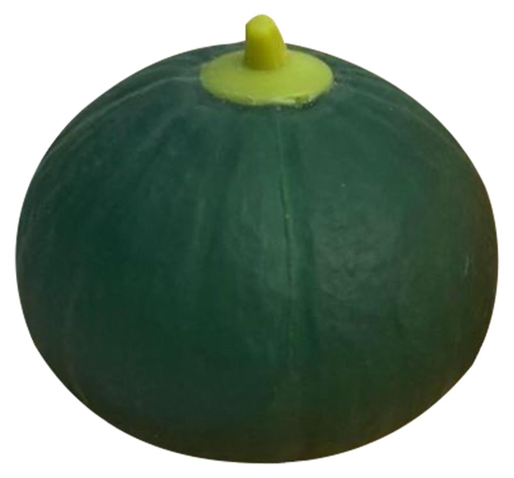 Kürbis-Stressball, langsam aufsteigend, grün-orange, Quetschspielzeug, Stressabbau, Gemüse-Stressball, sensorisches Spielzeug