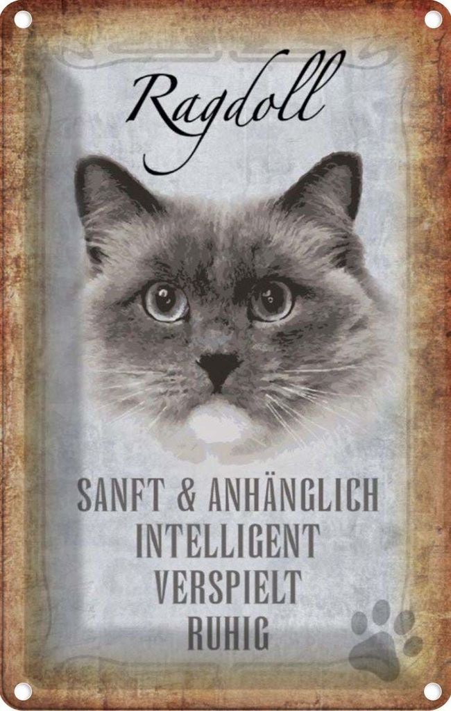 vianmo Blechschild 18x12 cm Ragdoll Katze sanft Tier Haustier