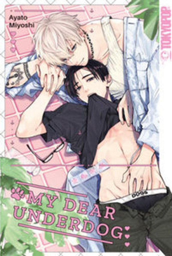 Unzensierter BL-Einzelband von Neuentdeckung Ayato Miyoshi