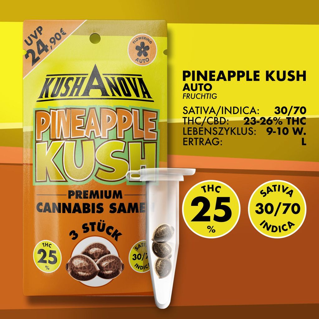 Kushanova Saatgut Set - Pineapple Kush Produktbild 