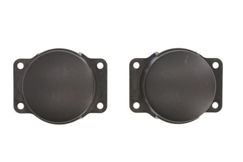 BLIC Lüftungsgitter Grill Stoßfänger für RENAULT SCÉNIC II (JM0/1)