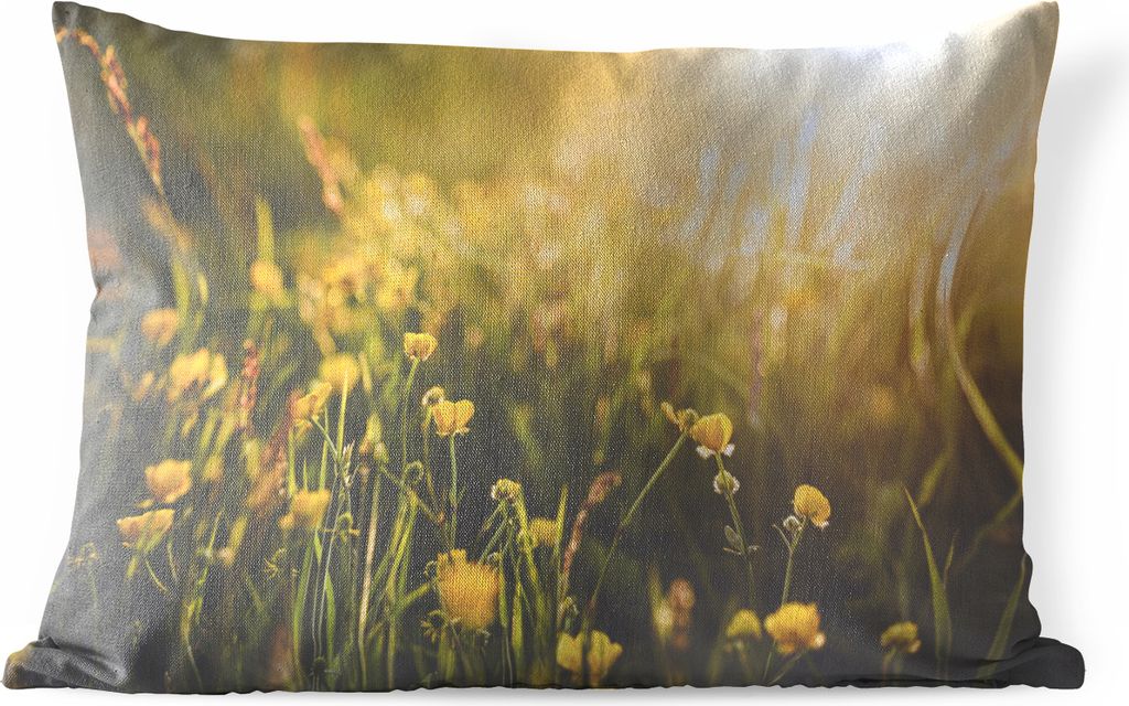 MuchoWow Outdoor Kissen - Nahaufnahme von Blumen bei Sonnenaufgang - 60x40 cm - Wetterfest - Lounge Kissen - Zierkissen - Kissen für Innenräume