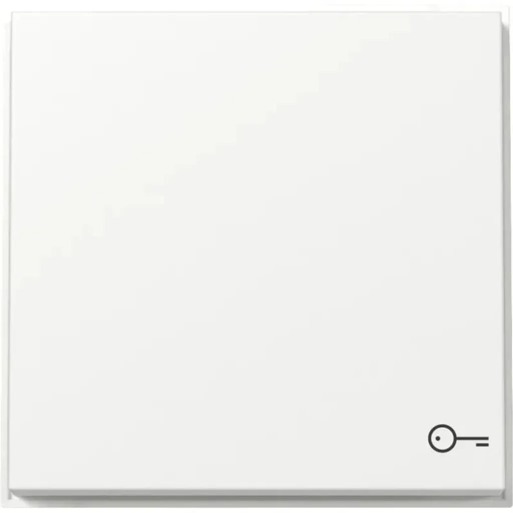 GIRA Wippe 328766 Symb. Tuer TX44 rws : Enjoliveur avec Symbole Porte