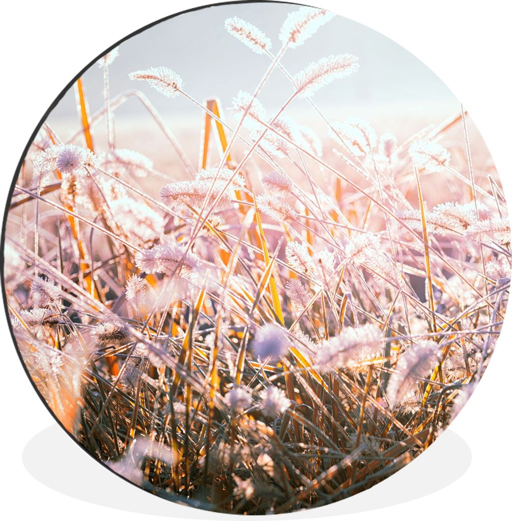 MuchoWow Aluminium Wandkreis Gras - Sonne - Winter - Schnee Ø 60 cm Wanddeko Modern Wohnzimmer - Wand Kreis - Wandbild - Schlafzimmer - Aluminiu...