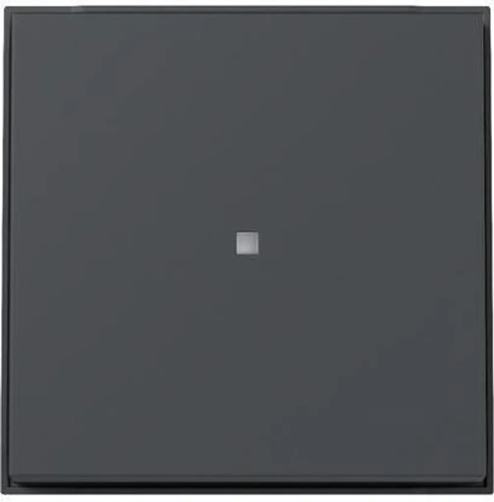 Bascule GIRA 329067 Anthracite : Solution Anti-poussière et Étanche TX44