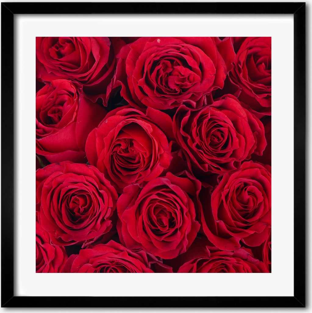 Bild - 50 cm x 50 cm - MDF - Rahmen, Wandkunst - Rosen Produktbild 