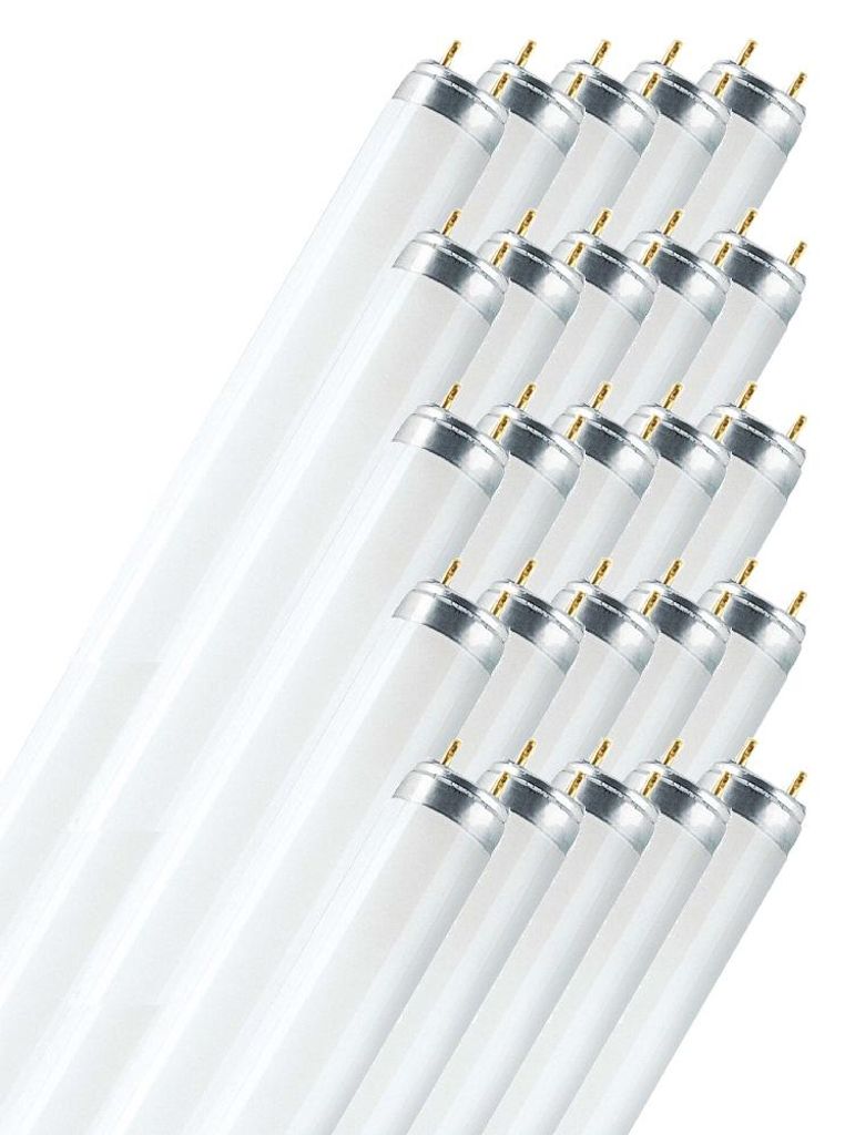 Osram L 36 W/840, 36 vatios, 3350 lúmenes Imagen del producto 