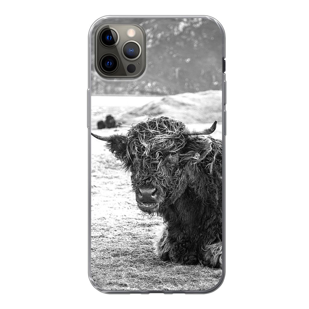 MuchoWow Handyhülle Schutzhülle Hülle für iPhone 13 Pro Max Schottischer Highlander - Berg - Tiere Silikon Softcase Handy Hülle - Mobiltelefon
