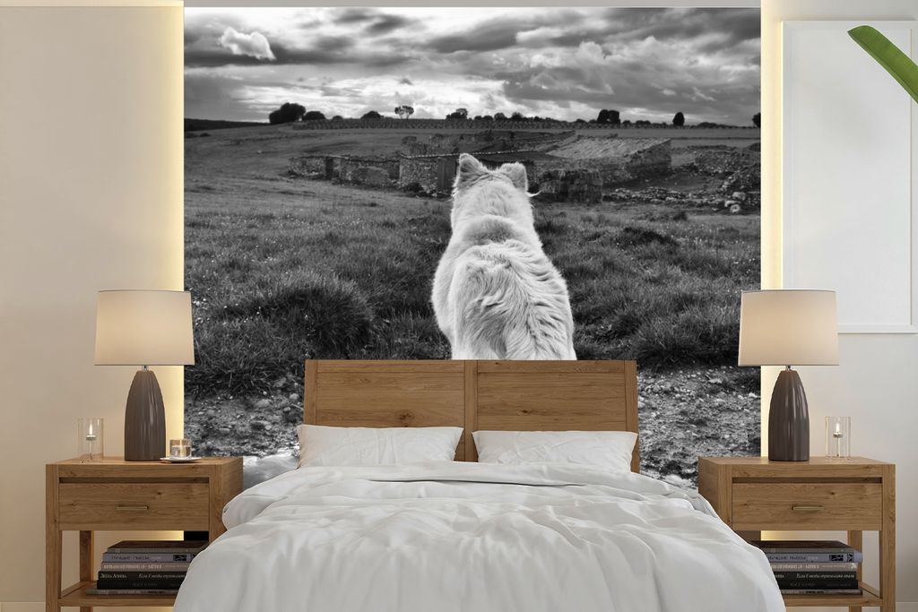 MuchoWow Fototapete für Wohnzimmer oder Schlafzimmer Wandtapete Vinyl Motivtapete Wolf mit Blick auf die Landschaft in Schwarz und Weiß - 220x2...