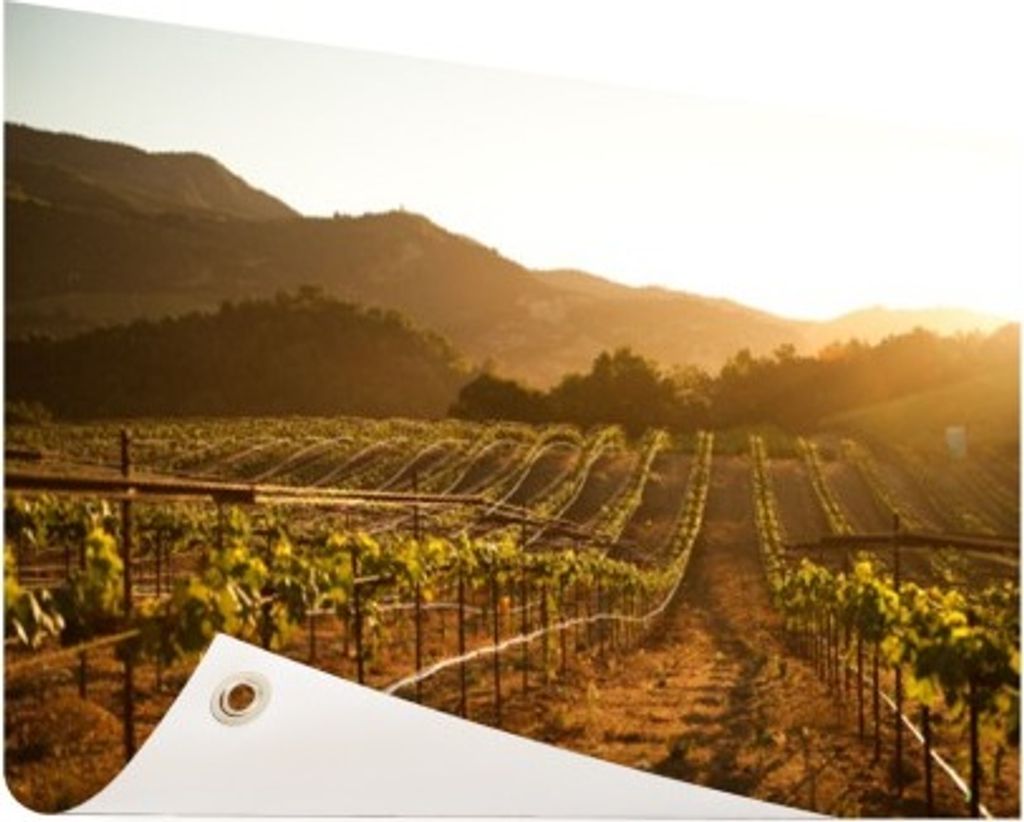 MuchoWow 60x40 cm Outdoor-Poster Gartendeko Sichtschutz Garten Poster für den Garten Weinberg bei Sonnenuntergang