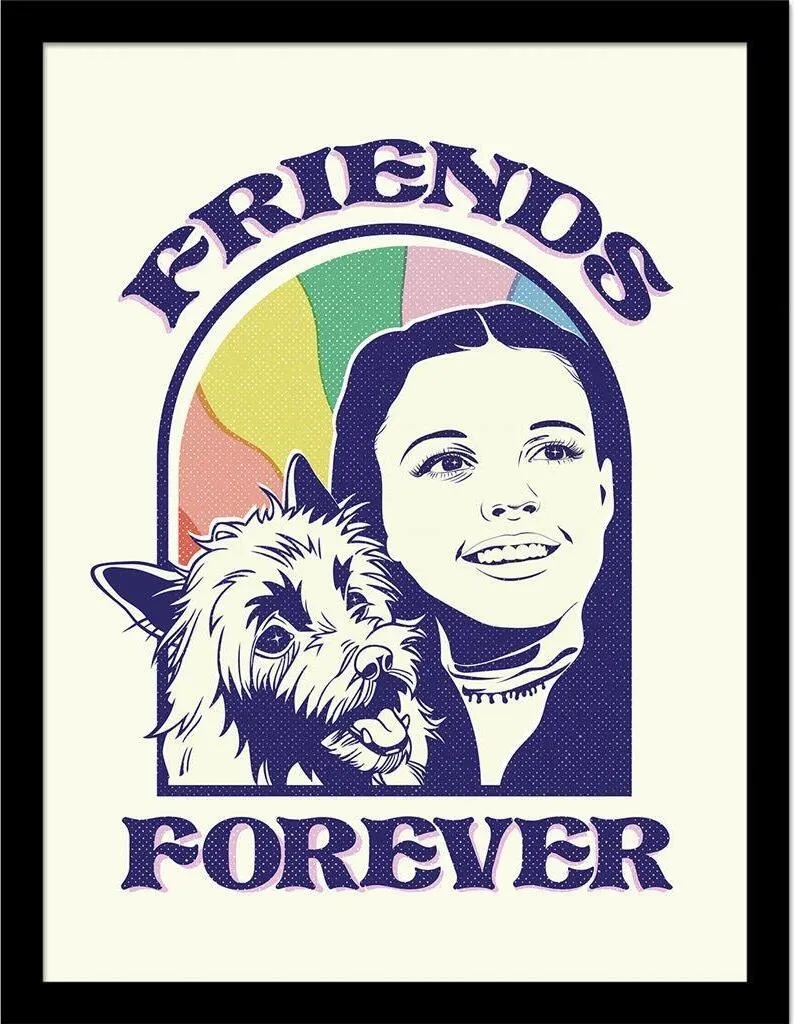 Poster Mago di Oz Colorato Incorniciato 40x30 Amici per Sempre