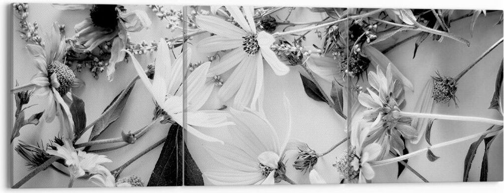 Bild auf Leinwand - Leinwandbild - 3 Teile - Blumen Schwarzweiß Fotografie - 150x50cm - Wand Bild - Wanddeko - Wandbilder - Leinwanddruck - Bilder...
