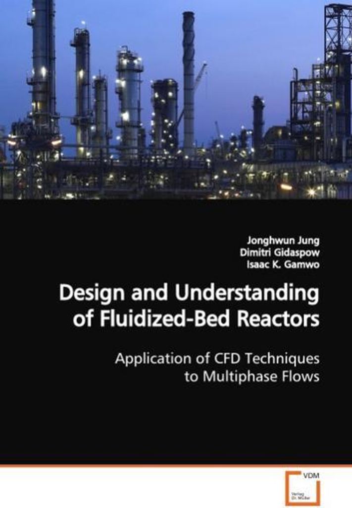 Jung, J: Design and Understanding of Fluidized-Bed Reactors
