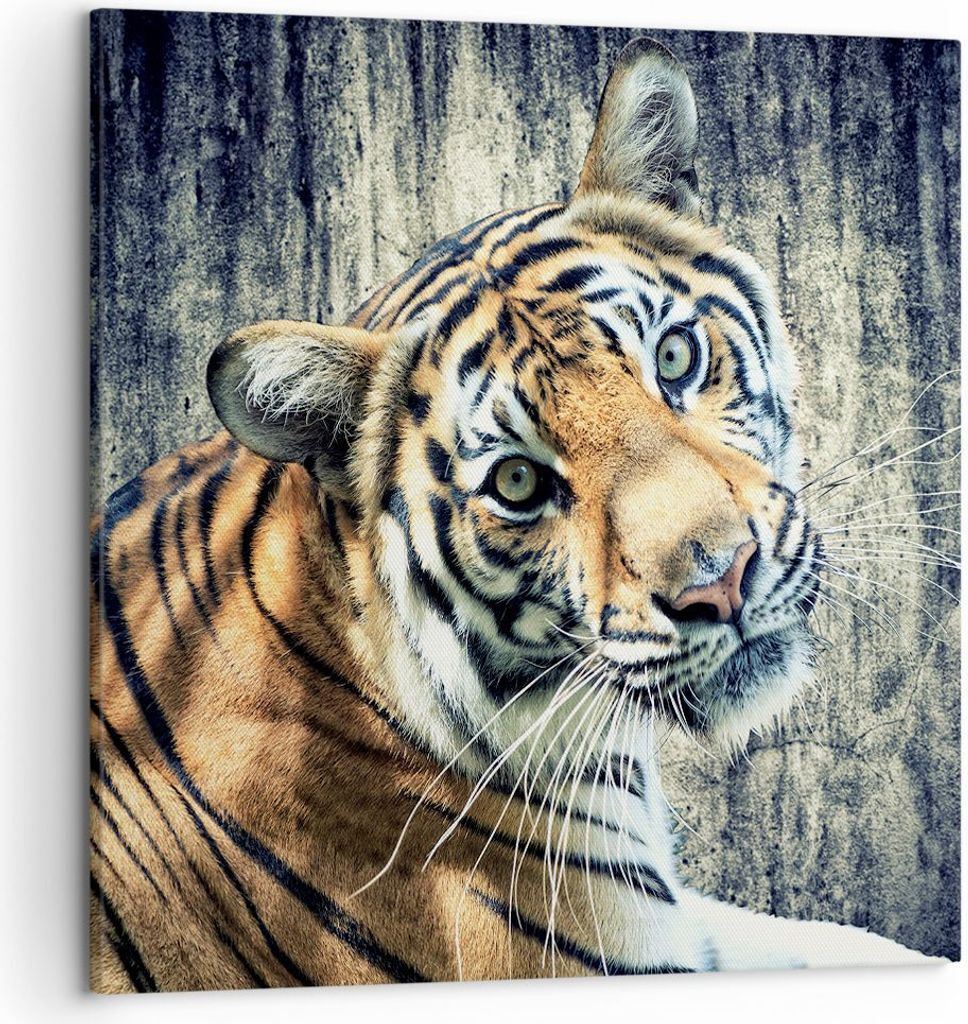 Bild auf Leinwand - Leinwandbild - Indien stein tiger wild Produktbild 