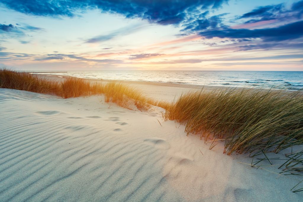 Papermoon VLIES Fototapete, Digitaldruck, Grasdünen bei Sonnenuntergang (1100)