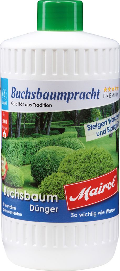 Mairol® 49155 Mairol® Buchsbaumpracht Baum- und Obrázek produktu 