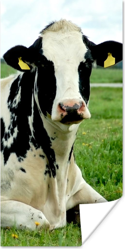 MuchoWow Poster Kuh - Friesland - Tier 80x160 cm - Kinderzimmer