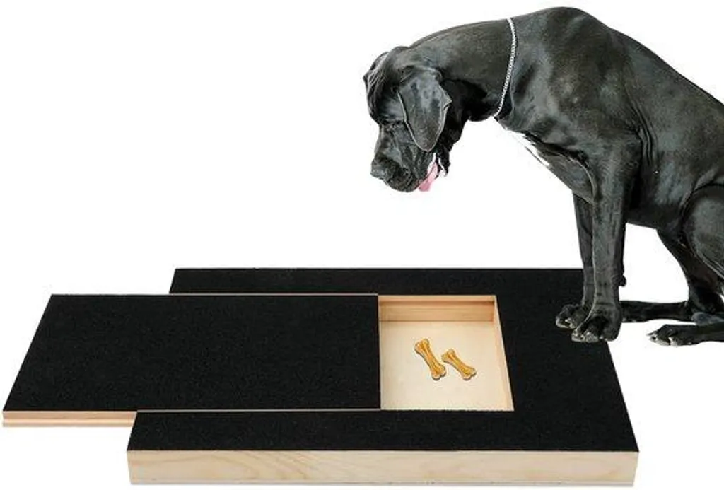 Kit de soins des pattes pour chiens : finies les griffes trop longues et le stress