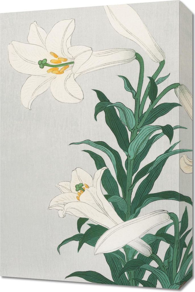 Bild 40x60cm Lilien, Japanische Koson Vintage für das Wohnzimmer