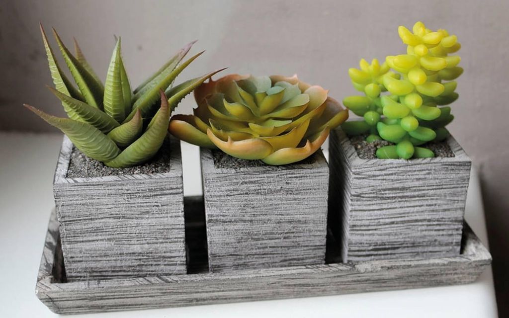 artplants.de Kunst Sukkulenten Gesteck Sylvia in Dekotöpfe, grün, 19x7,5x11cm - Künstliche Sukkulenten