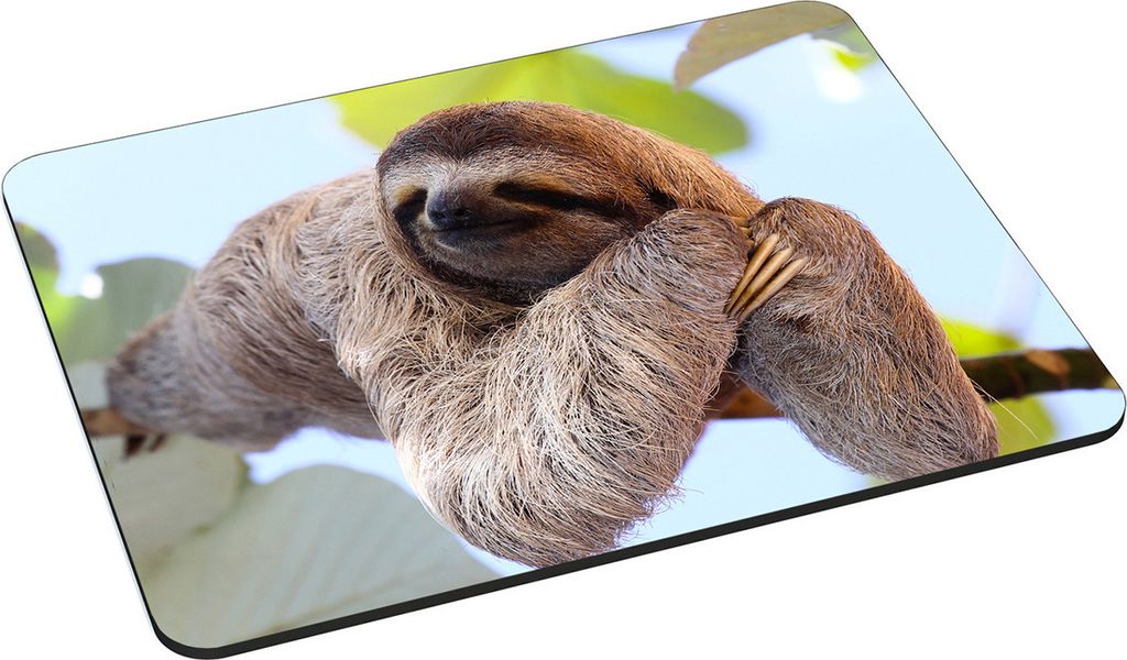 PEDEA Gaming Office Mauspad L chilling sloth